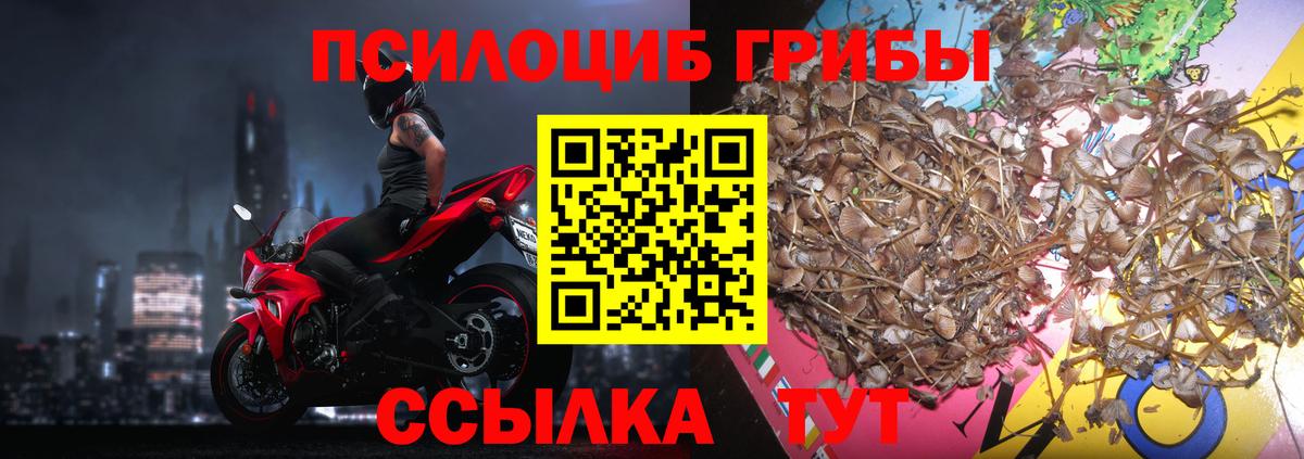 Галлюциногенные грибы мицелий  Вход с VPN  Великие Луки 